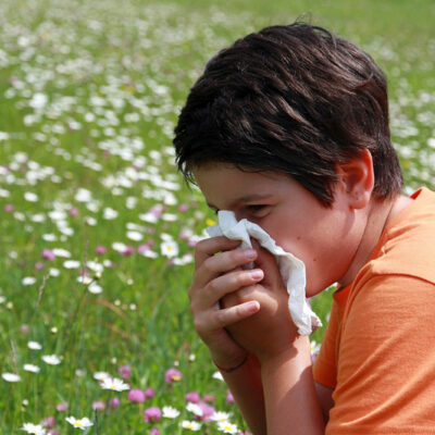 Basics of diagnosing and treating an allergy