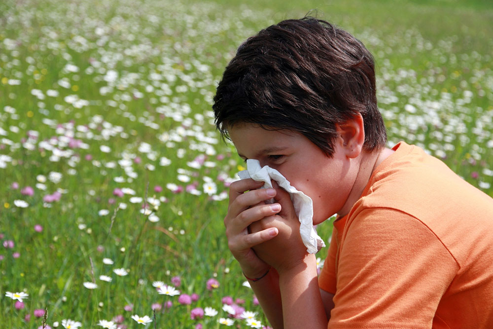 Basics of diagnosing and treating an allergy