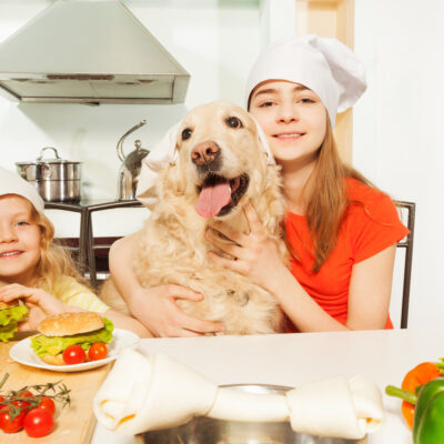 4 Feeding Tips For A Happy, Healthy Dog