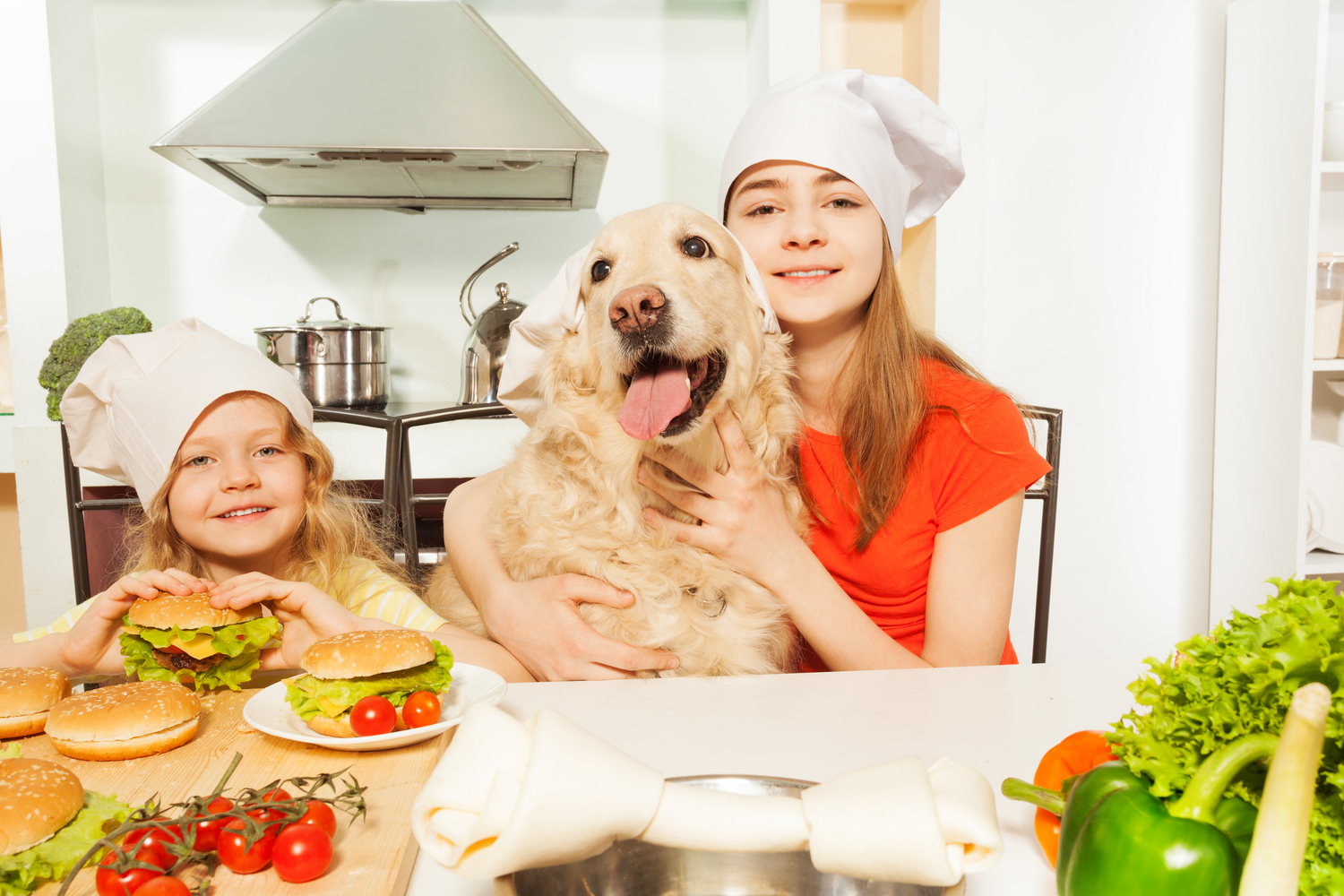 4 Feeding Tips For A Happy, Healthy Dog