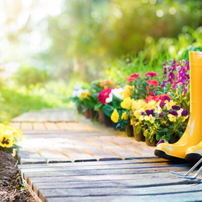 The Most Surprising Health Benefits Of Gardening