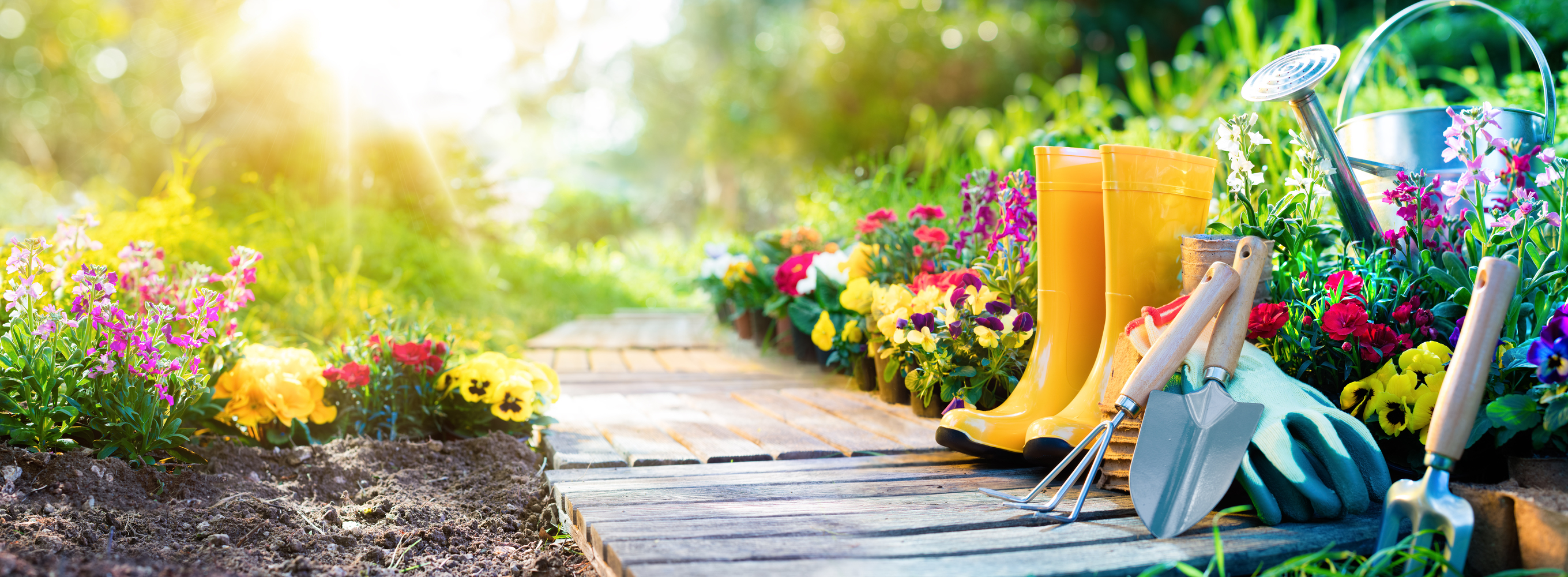 The Most Surprising Health Benefits Of Gardening